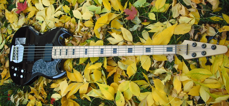 5 string SG Bass